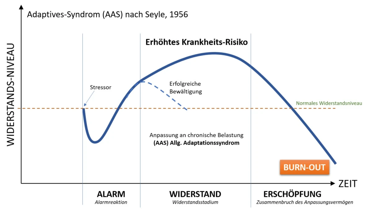 Adaptives-Syndrom (AAS) nach Selye, 1956 – Diagramm mit Alarm, Widerstand und Erschöpfungsphase