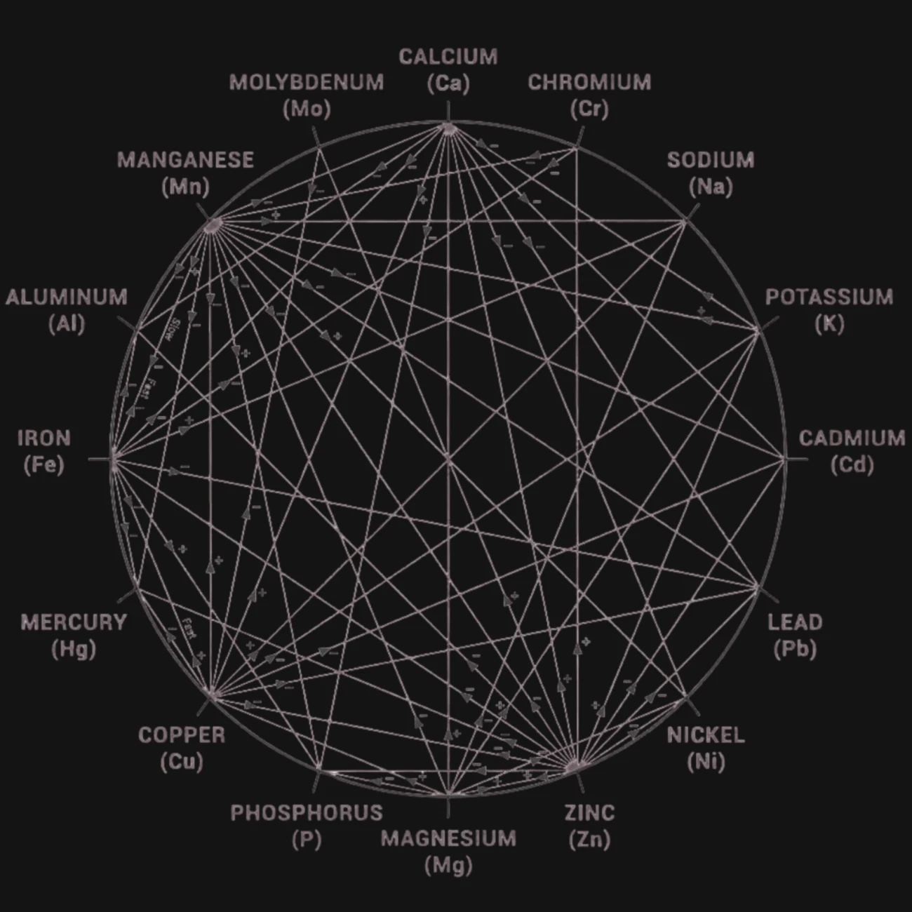 Das Mineralrad - Visualisierung der Wechselwirkungen zwischen Mineralien